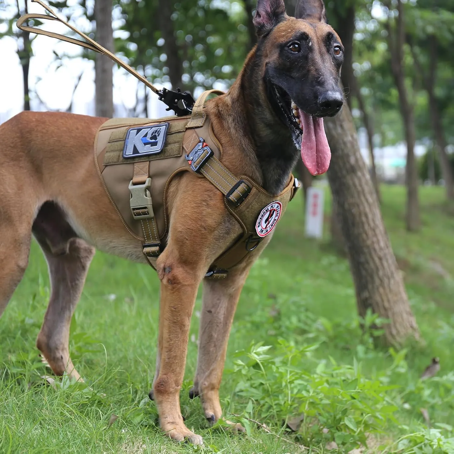 ICEFANG Tactical Dog Harness,Large Size, 2X Metal Buckle,Working Dog MOLLE Vest with Handle,No Pulling Front Leash Clip,Hook and Loop Panel